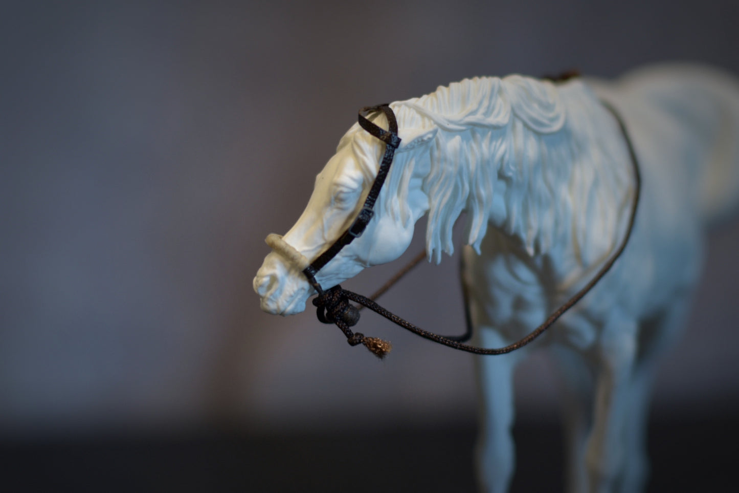 Hackamore bridle (1:20)